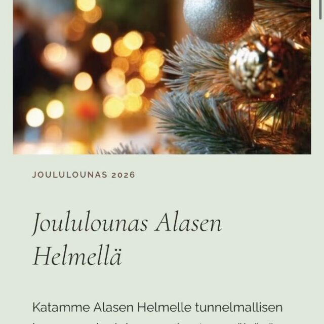 Have you seen this?! Joululounas Alasen Helmellä